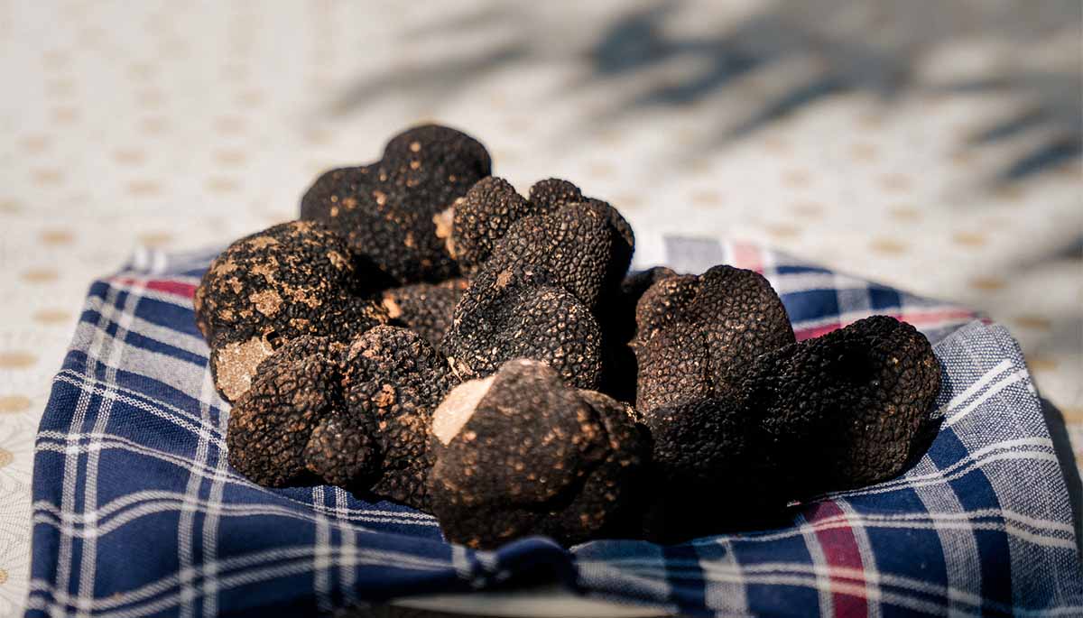 Istarska kuhinja – detalj jela